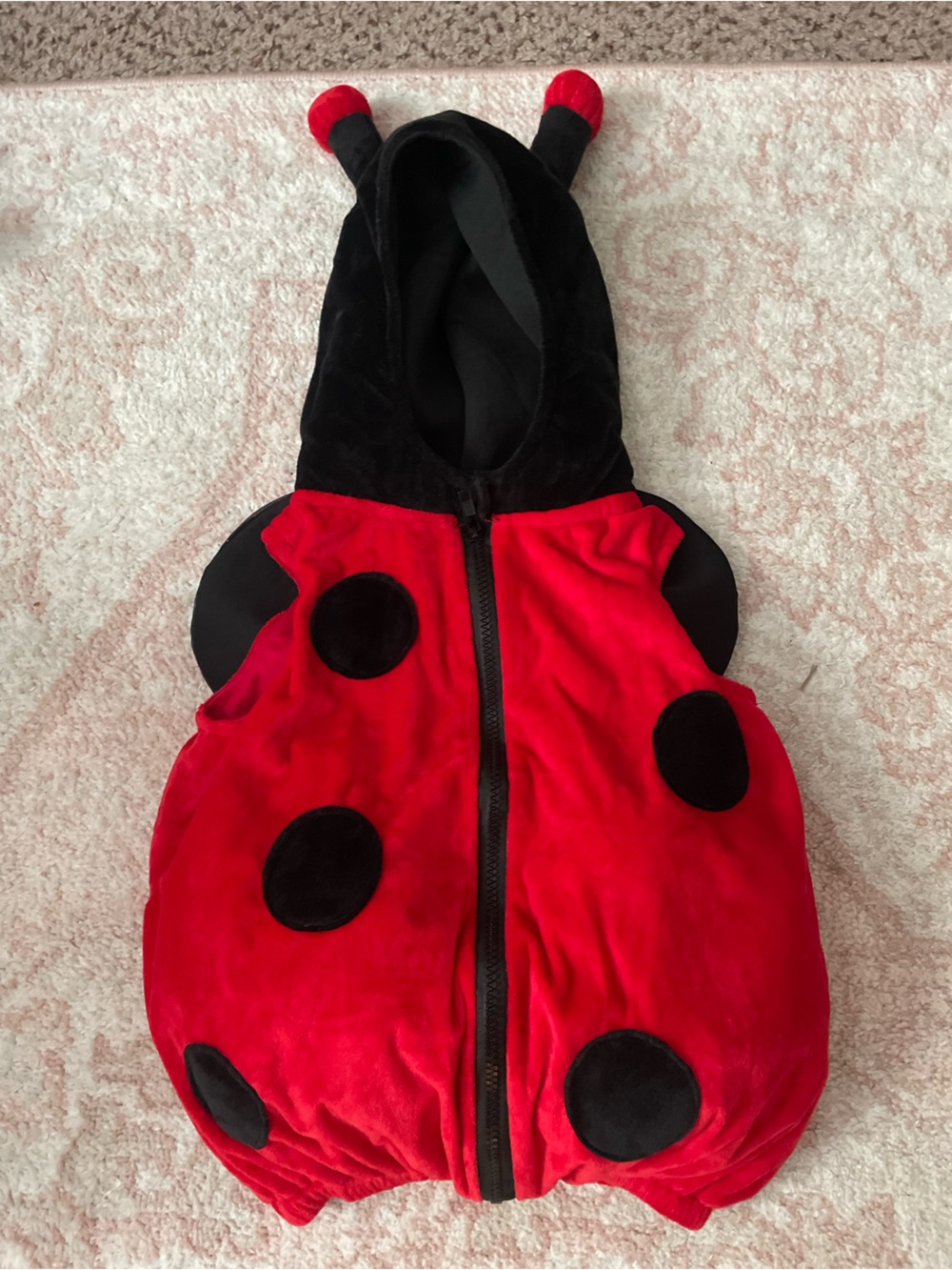 Dream Play Imagine Ladybug Hooded Zip-Up Outfit w/ Wings Red/Black, 24 months